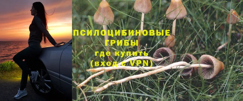 Галлюциногенные грибы MAGIC MUSHROOMS  Салават 